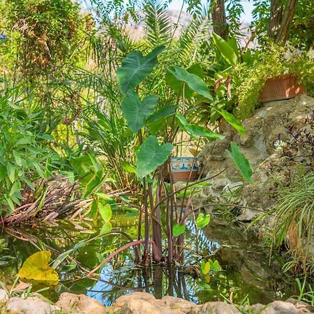 Finca Alqueria 坎姆帕内特 外观 照片